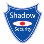 Sales Manager
